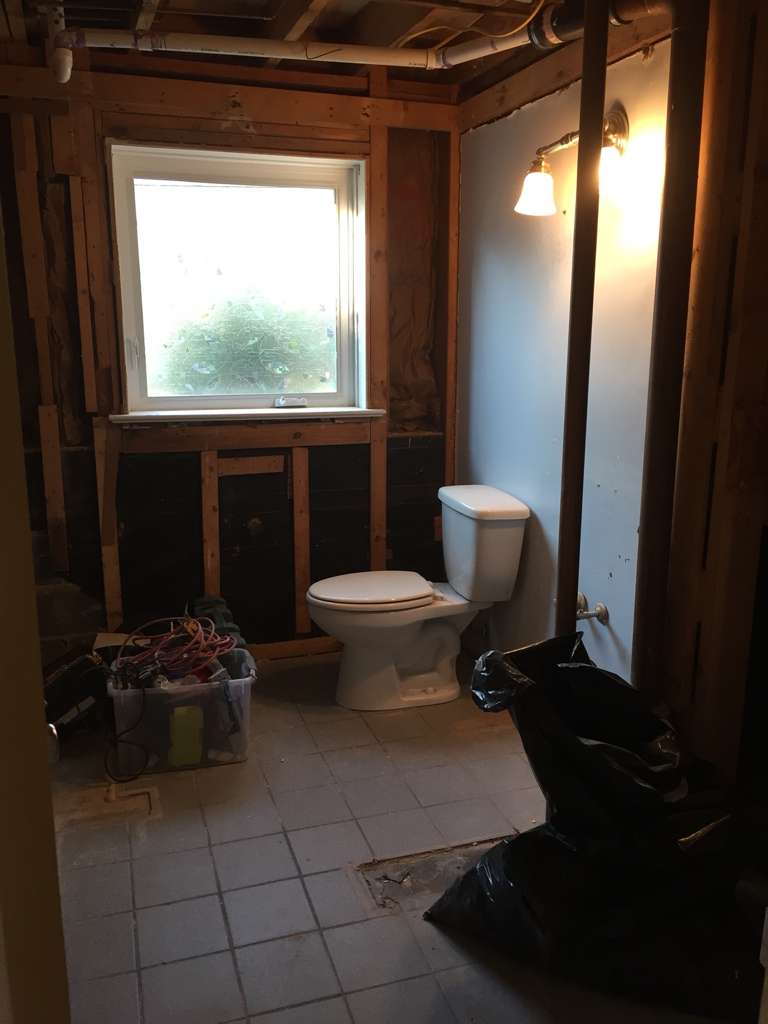 Before: Powder room, rebuilt from the studs