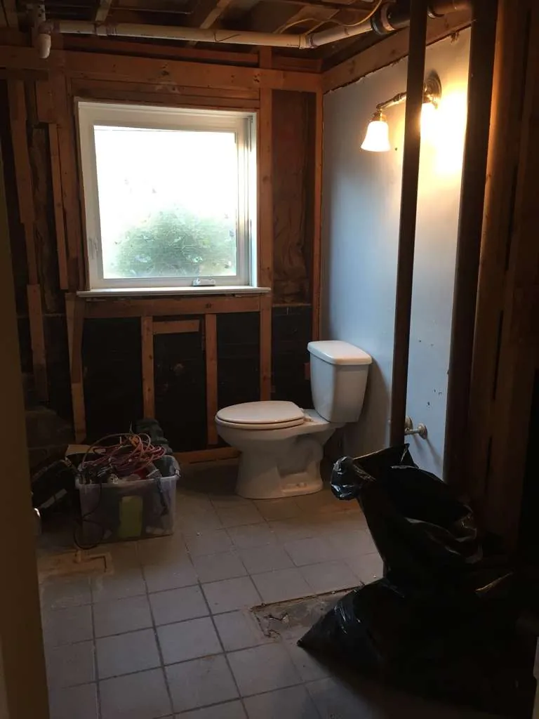 Before: Powder room, rebuilt from the studs