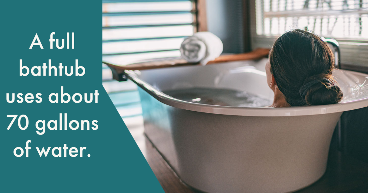 Bath Conversion 101 Bathtub, Shower, Or Both? Just Bath